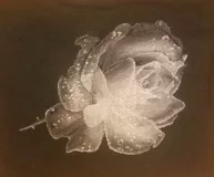 2016-08-25-15.51.38