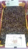 malva